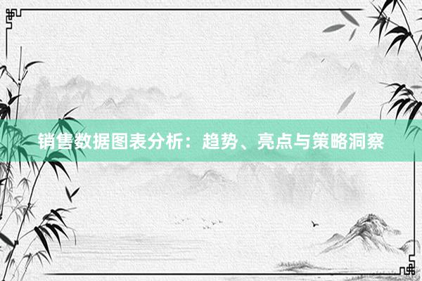 销售数据图表分析：趋势、亮点与策略洞察